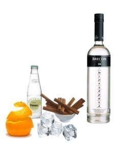 brecon-gin