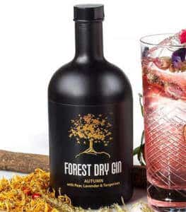 Forest Dry Gin Autumn